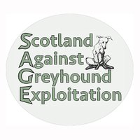 Scotland Against Greyhound Exploitation(@SageHounds) 's Twitter Profile Photo