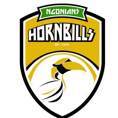 HornBills2k13 Profile Picture