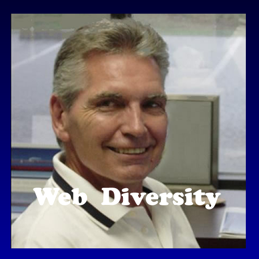Web Diversity