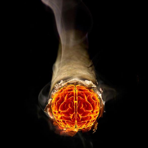 BIG_LON's profile picture. 