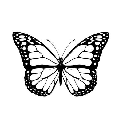 @ButterflyEDUHL