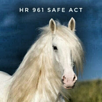 StopAnimalCruelty(@animalwarrior15) 's Twitter Profile Photo