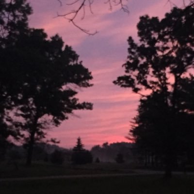 BlastehFN's profile picture. Professional fortnite Gamer