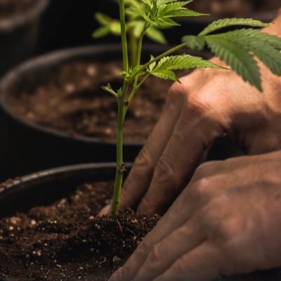 EndoVlog's profile picture. this is my house, you can find a mix of things that Putin my mind to blow. BJJ, Surf, Issues, Politics,Futbol. Bienvenido a Casa mas que placer experiencias.