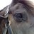 lecturerphoto's profile image