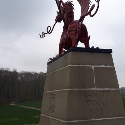 sg_teaching's profile picture. Working to help improve peoples lives. In my spare time I volunteer for the CWGC. All views are my own.