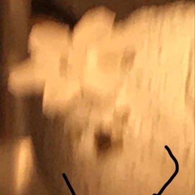 c7s_spacct's profile picture. 🔞 • c7’s spam account • I WILL cry • she/her/they/them • 26 • 🔁 things I like: pokémon, LaDS, horny, angsty, funny, cute, and relatable