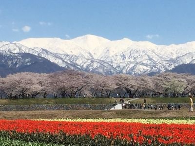 まだ🔰不慣れです。日本が好き。色々おかしくなってる事に気づいて憂う日々。不幸のてんこ盛り。それでも生きていく。賛同して無言フォローしがちですみません。浅田真央さんと新しい地図を(控えめにw)応援しています。