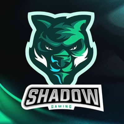 Shadow Gaming™️