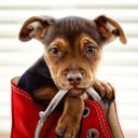 jose bryan fajader - @JoseFajader - Twitter