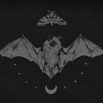 steviesmilees's profile picture. Just a simple being floating on the same rock you are.