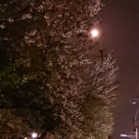 ・ (@serser_que) 's Twitter Profile