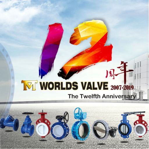 Butterfly valve / Resilient Seat Gate Valve / Dual Plate Check Valve / OEM manufacturer