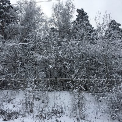 q0BayhxgjPWowAB's profile picture. 