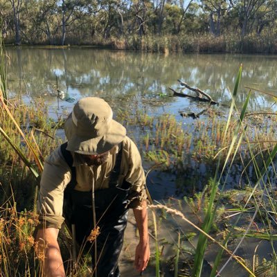 Ecologist mostly hanging out in wetlands. Other interests include non-native species and restoration ecology.