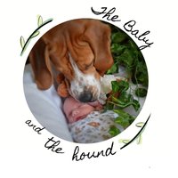 Thebabyandthehound(@Babyandthehound) 's Twitter Profile Photo