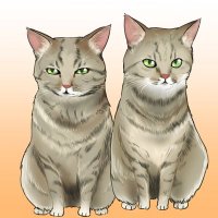 hidejii (@nekokan007) Twitter profile photo