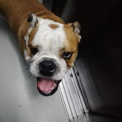 aitilatope's profile picture. 