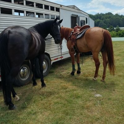 Support horse racing & rodeo, ranching. Realist.
 Old Farm Gal, Old Horse Gal, Writer. #horses #farmlife