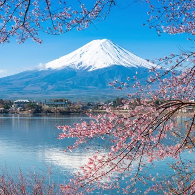 estiher's profile picture. Vitoria