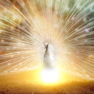 3EzLWDbMTixUoqa's profile picture. 無言フォロー申し訳ありません。子育て奮闘中 女児2人 休職中