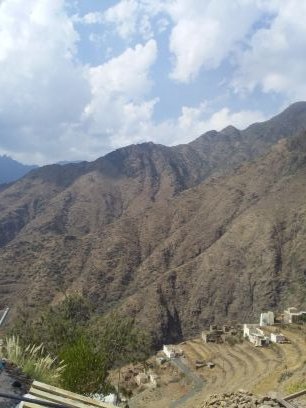 eTYQFiX627eXTDB's profile picture. 