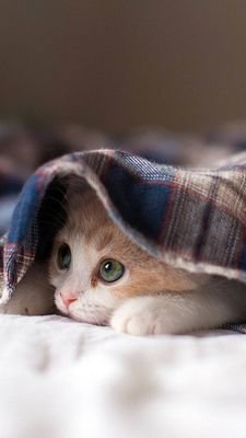 sHu87UPCmVgMybg's profile picture. 