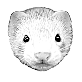 いたちにゃにゃ（鼬）さんのプロフィール画像