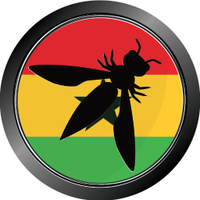 OWASP Ghana (call for online presentation is open)(@OWASPGhana) 's Twitter Profile Photo