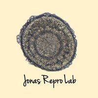 Jonas Repro Lab (@jonasrepro) 's Twitter Profile