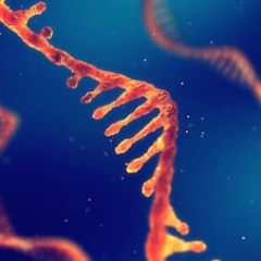 CellAseq's profile picture. 