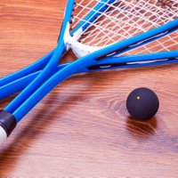 Bridgend junior squash (@bridgendjunior) 's Twitter Profile Photo Bridgend junior squash (@bridgendjunior) 's Twitter Profile Photo