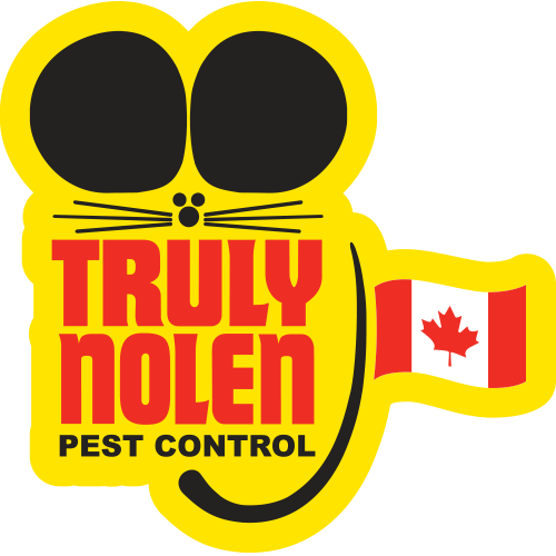 Since 1938, the leading pest control company for your home or business. Call us today 1-888-832-4105