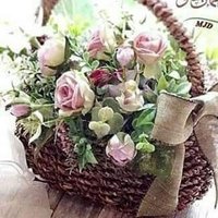 Morhaf (@morhaf92560751) Twitter profile photo