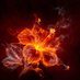 Fireflower (@fiyahflower) Twitter profile photo Fireflower (@fiyahflower) Twitter profile photo