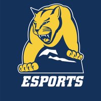 MSJ Esports(@MSJ_Esports) 's Twitter Profile Photo