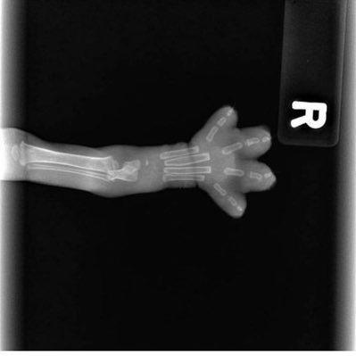 dueudud14's profile picture. 