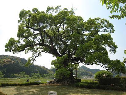 若木町をもっと知ってもらうための情報発信に頑張ります！