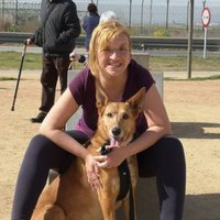 Montse Villanueva (@montsevillanue7) 's Twitter Profile Photo Montse Villanueva (@montsevillanue7) 's Twitter Profile Photo