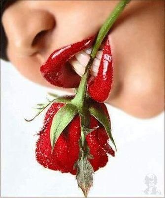 Sgik8XFs9pdZc7X's profile picture. لا لا لا لا