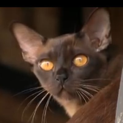 chermar81's profile picture. old lady who loves this country. #tend2Bsnarky. #🏳️‍🌈🇺🇸🎸🌈 🇺🇦#BlackLivesMatter #rememberRBG #getVaxxed #stand4democracy #justiceMatters