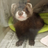 @ocdtrekkie's Avatar @ocdtrekkie's Avatar