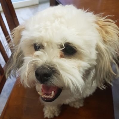 anniebanani1979's profile picture. 