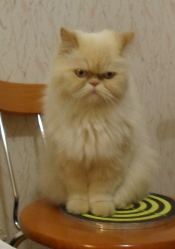 archi_is's profile picture. 