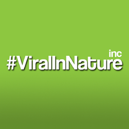Capturing the POWER of SOCIAL MEDIA for the benefit of our clients. #ViralInNature is ranked by @clutch_co as a top social media marketing agency. Est 2013