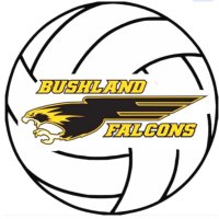 BushlandVolleyball(@BushlandVBall) 's Twitter Profile Photo