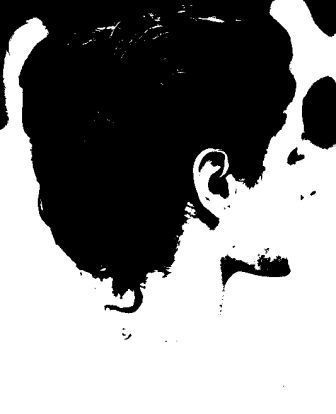 evarulf's profile picture. 