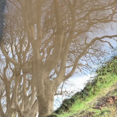 MCrabbes's profile picture. 