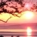 Adult Campsites (@adultcampsites) Twitter profile photo