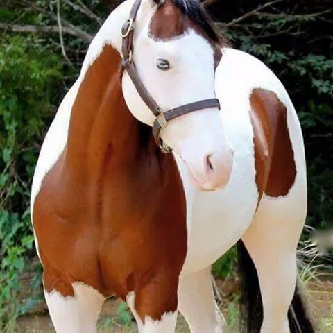 tum_mx123's profile picture. 